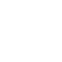 Service Features
