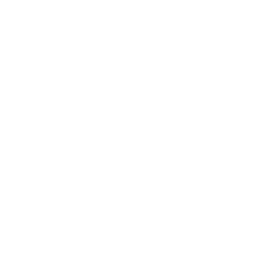 Service Features